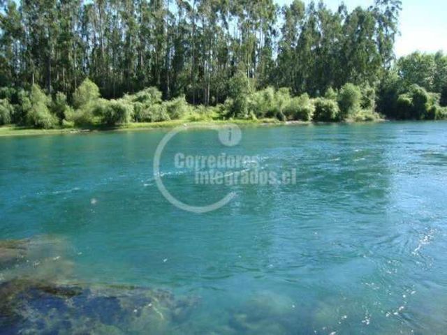 SITIO Sector frente a la ciudad de Los Lagos