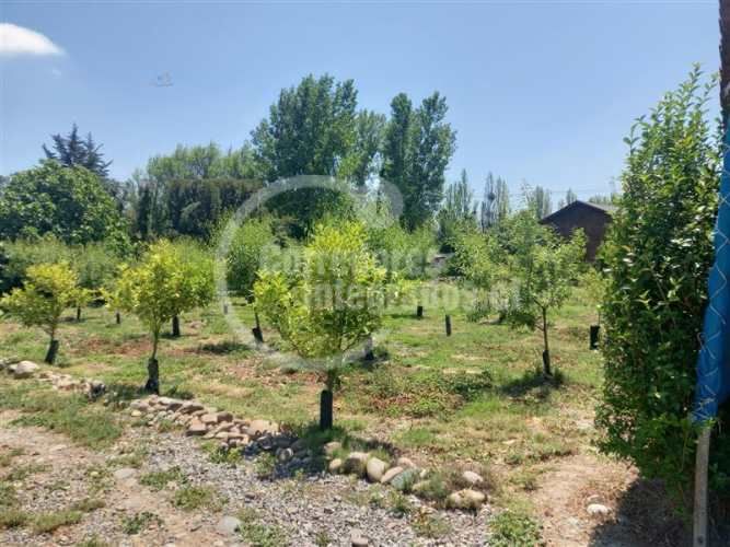 PARCELA Casa Parcela en Venta CAMINO LORETO Talagante