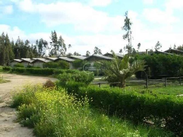 OTROS Camino Parroquial