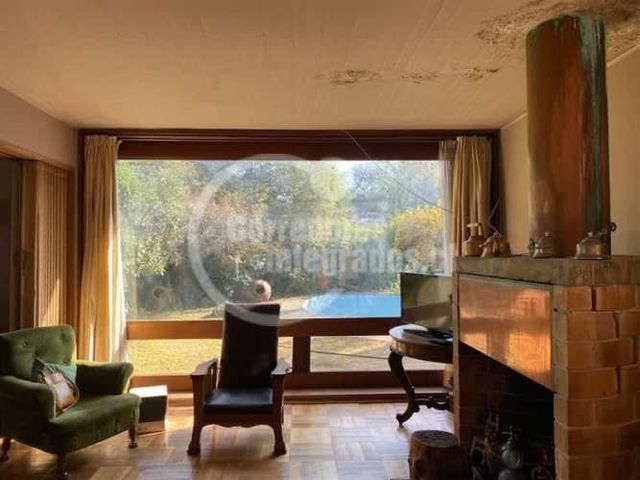 CASA Luis Pasteur / Luis Carrera