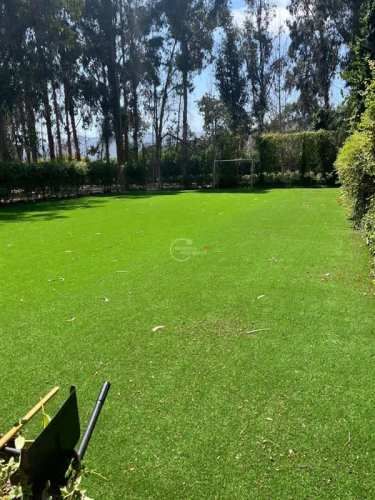 PARCELA La Foresta de Zapallar, Catapilco