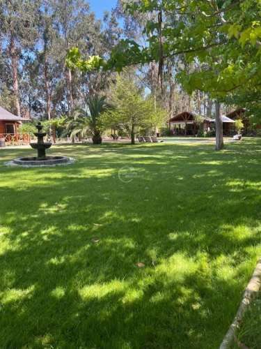 PARCELA La Foresta de Zapallar, Catapilco