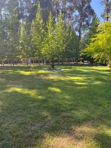 PARCELA La Foresta de Zapallar, Catapilco