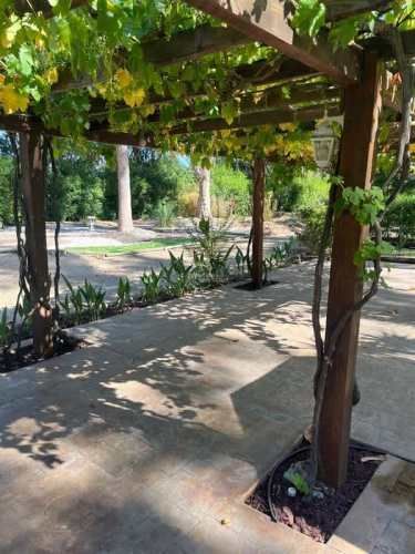 PARCELA La Foresta de Zapallar, Catapilco