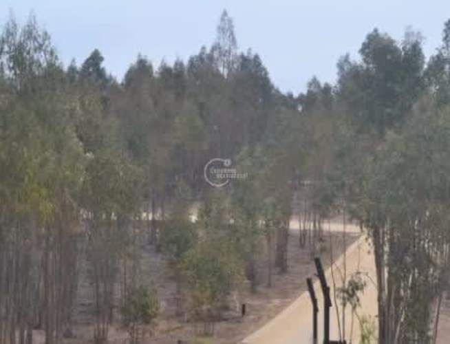 SITIO Sector El Tigre