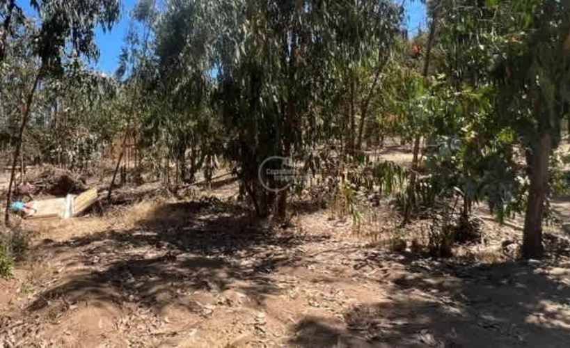 SITIO Sector El Tigre