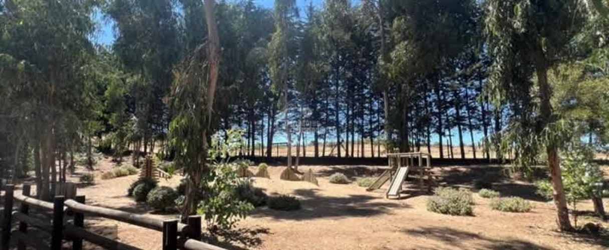 SITIO Sector El Tigre