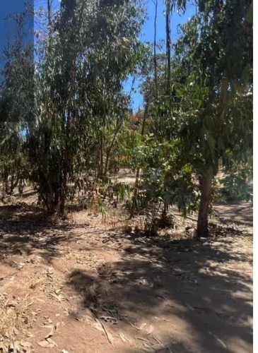 SITIO Sector El Tigre