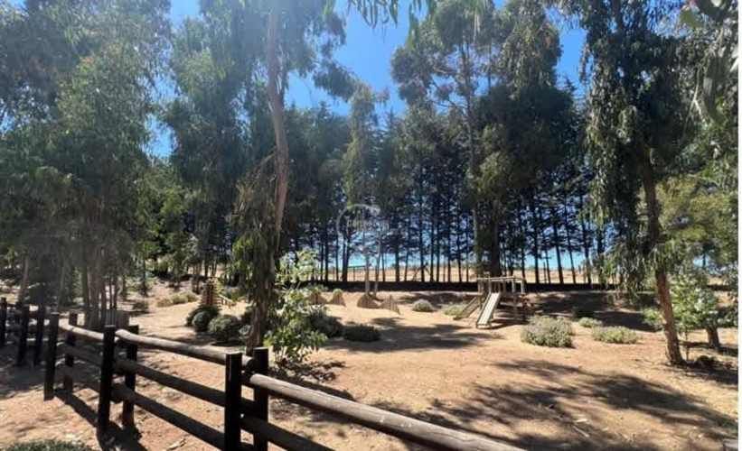 SITIO Sector El Tigre