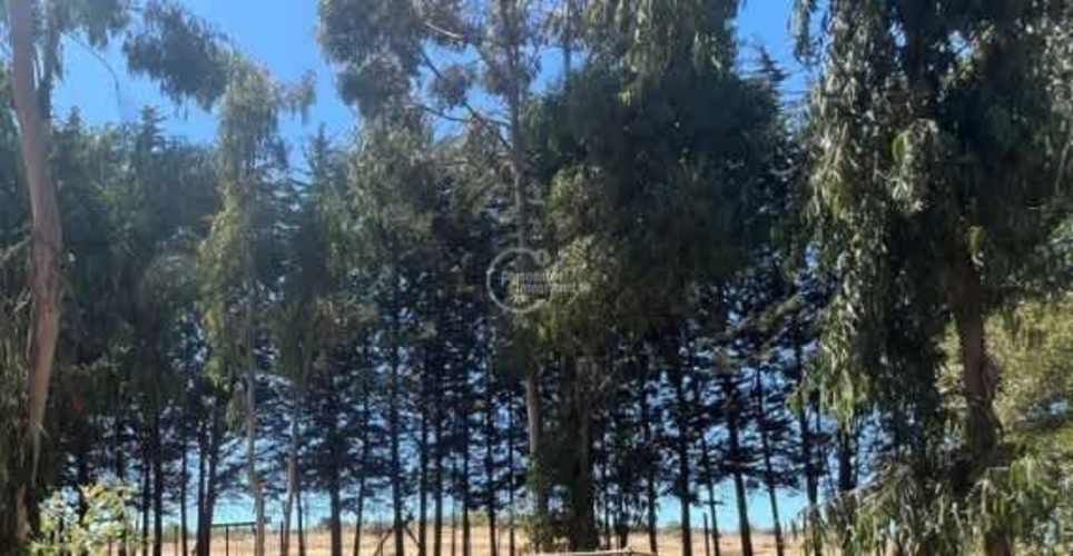 SITIO Sector El Tigre