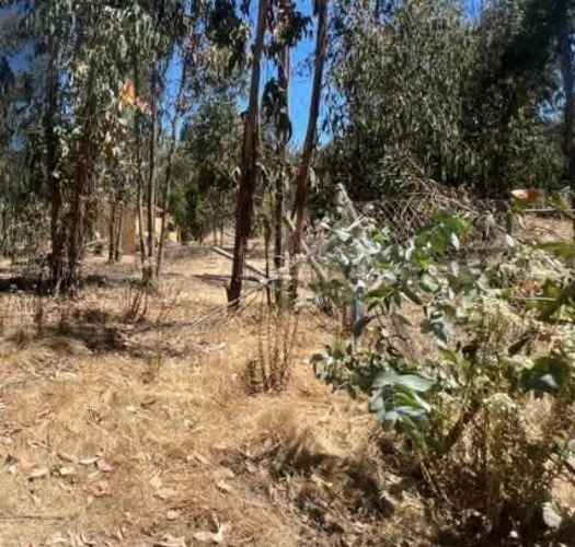 SITIO Sector El Tigre