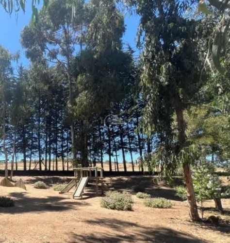 SITIO Sector El Tigre