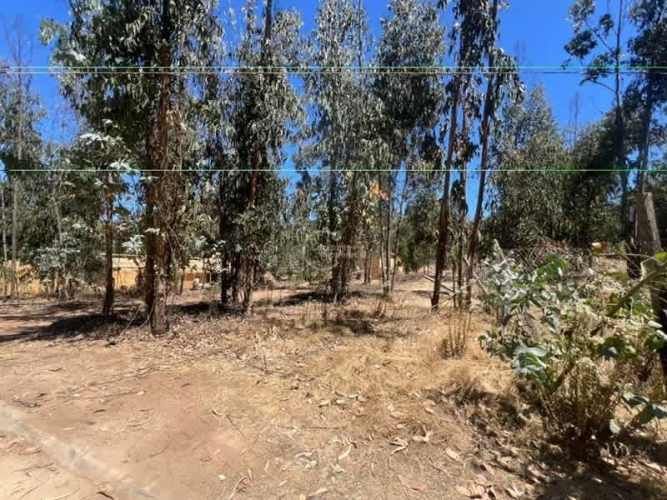 SITIO Sector El Tigre