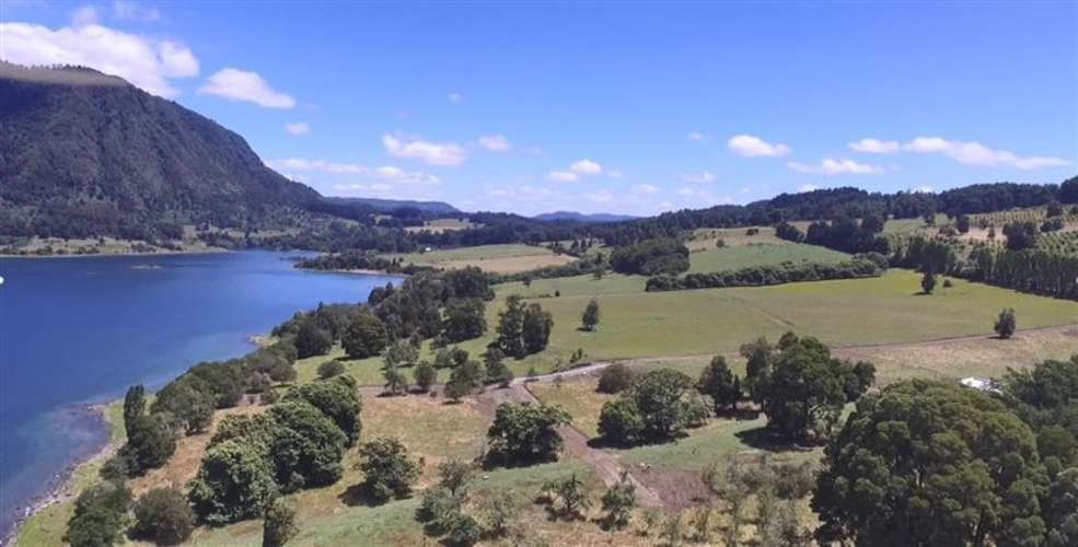 PARCELA Lago Riñihue FM