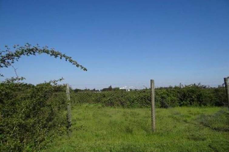 SITIO Cabrero - Bio Bio