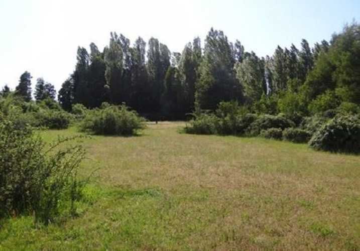 SITIO Cabrero - Bio Bio