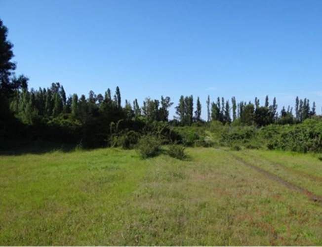 SITIO Cabrero - Bio Bio