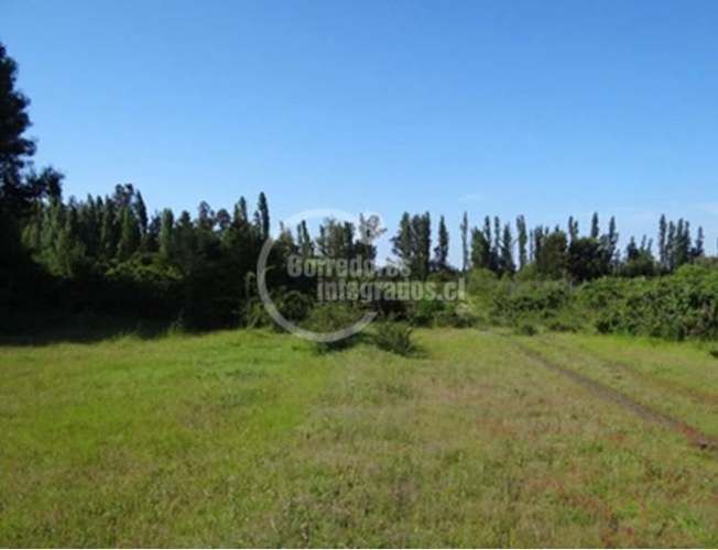 SITIO Cabrero - Bio Bio