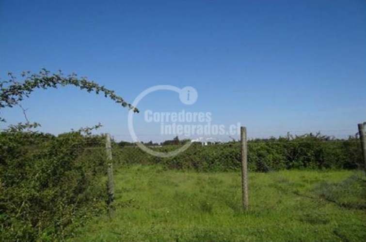 SITIO Cabrero - Bio Bio