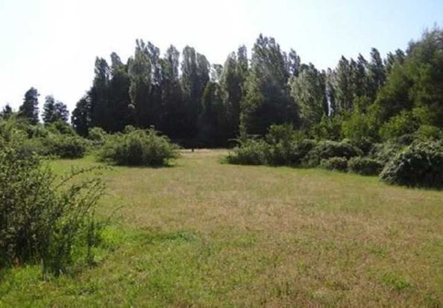 INDUSTRIAL Cabrero - Bio Bio