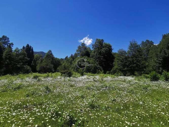 PARCELA Los Calabozos