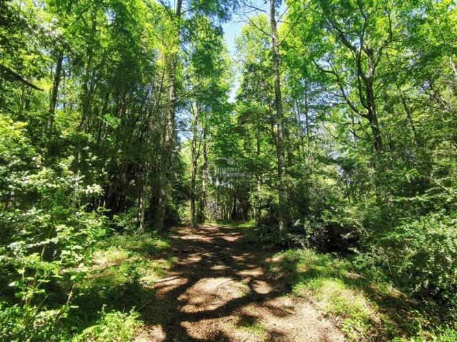 PARCELA Los Calabozos