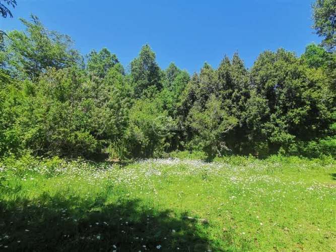 PARCELA Los Calabozos