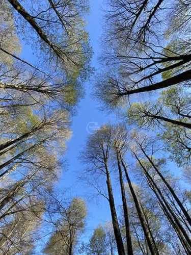 PARCELA Los Calabozos
