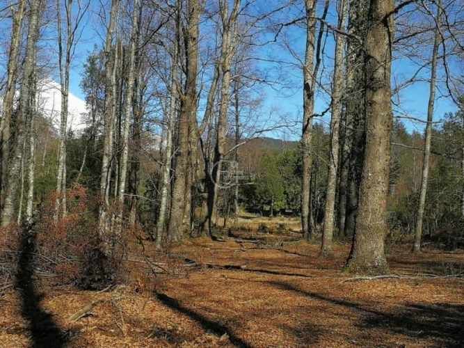 PARCELA Los Calabozos