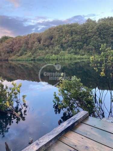 PARCELA Camino la Vega, Nueva Braunau