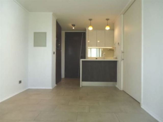 DEPARTAMENTO Pedro de Valdivia Norte / Av. El Cerro