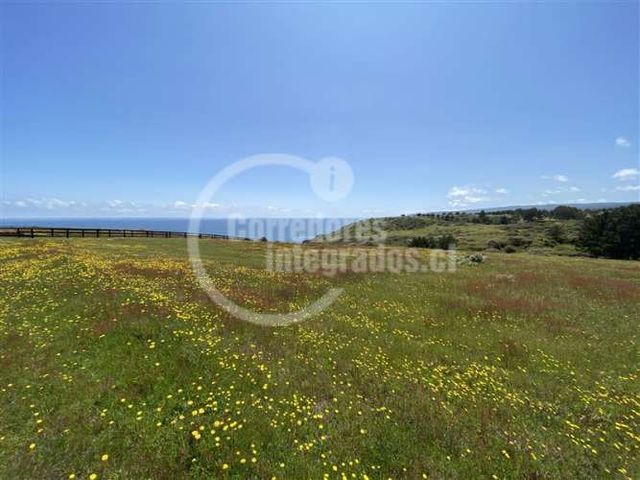 SITIO Sector Centinela a 13 km al Norte de Pichilemu