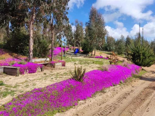PARCELA Condominio Los Pimientos Puertecillo - Navidad MLL