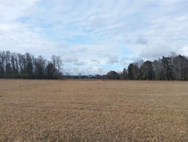 OTROS Camino Relun km 1,4