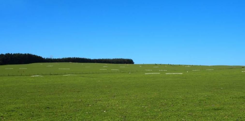 PARCELA Caleta de Duao