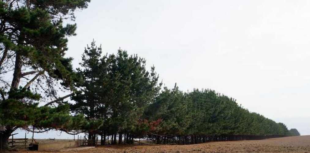 PARCELA Caleta de Duao