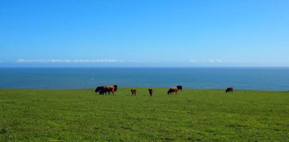 PARCELA Caleta de Duao