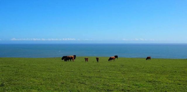 PARCELA Caleta de Duao