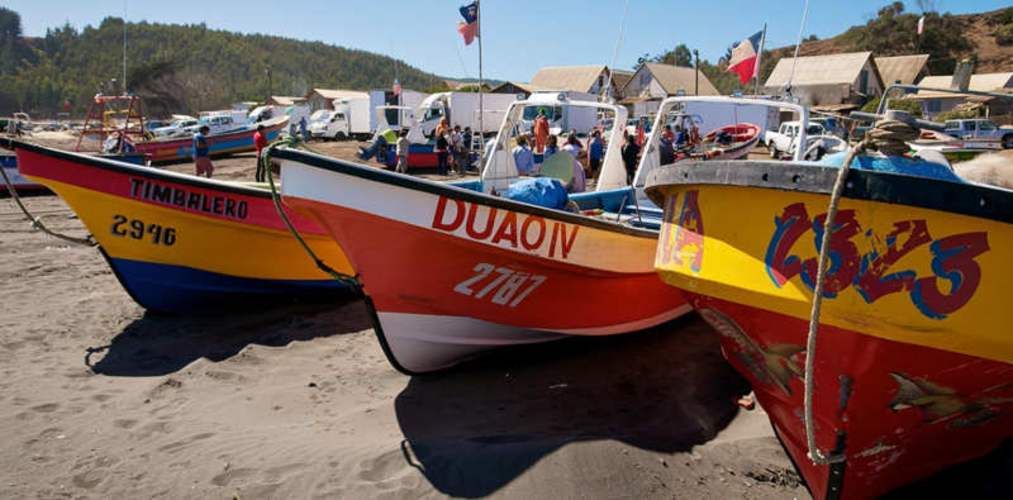 PARCELA Caleta de Duao