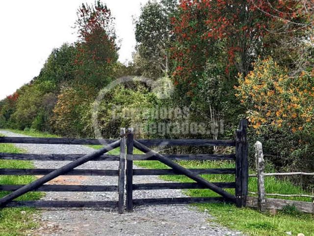 PARCELA Aguas negras Ticahue, Rio Bueno