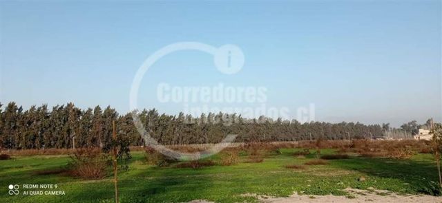 SITIO San Miguel / Santa Ester