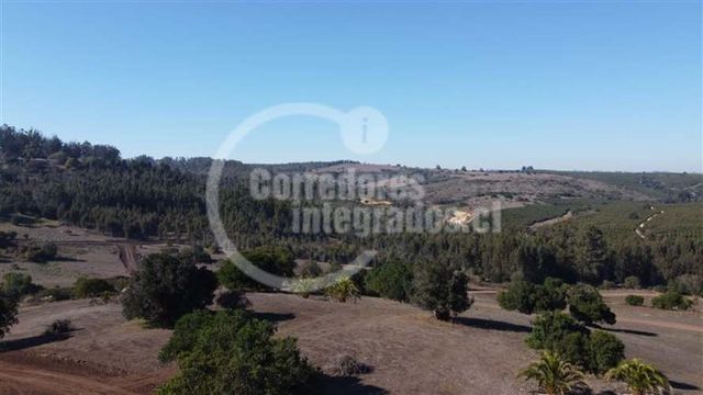 PARCELA FUNDO ATALAYA