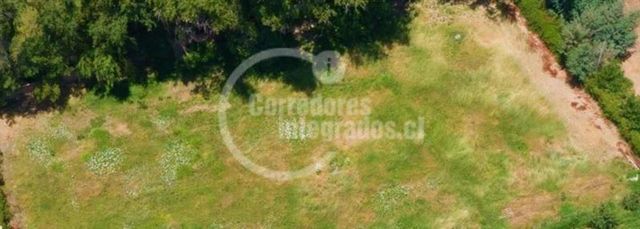 SITIO Chépica - Colchagua - Carretera del Vino