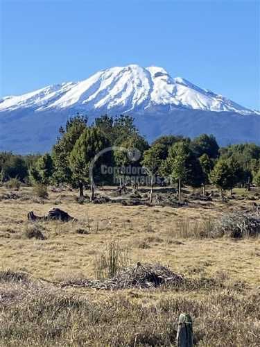 PARCELA Colonia Tres Puentes