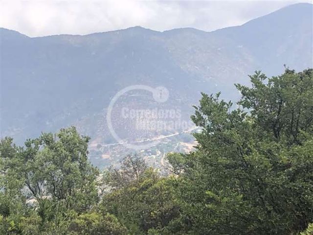 SITIO Curacavi (L.A)