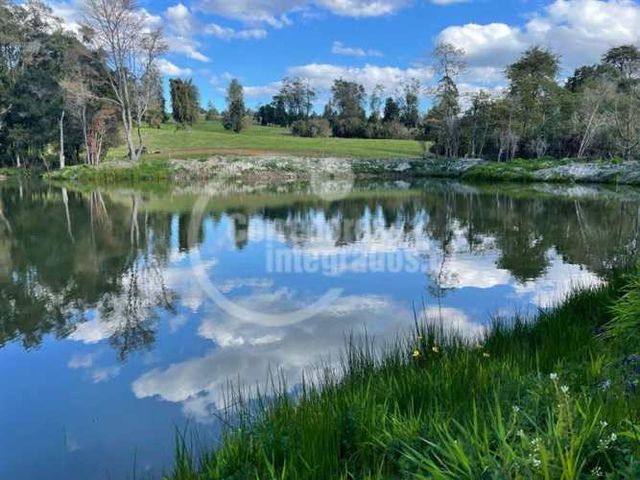 PARCELA Puente Minte