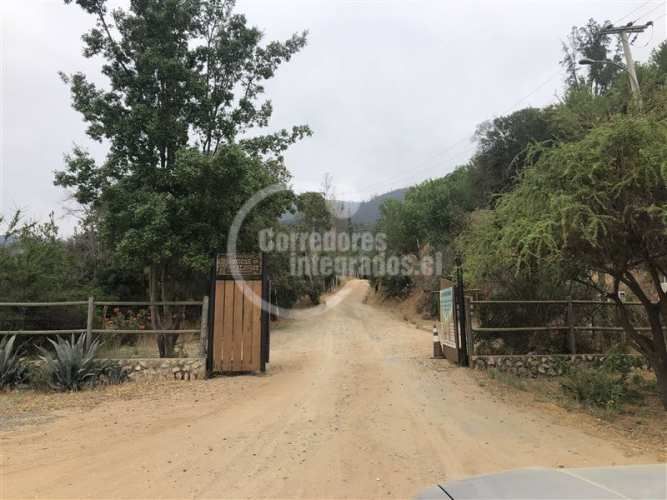 PARCELA Curacavi (L.A)