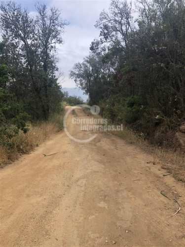 PARCELA Curacavi (L.A)