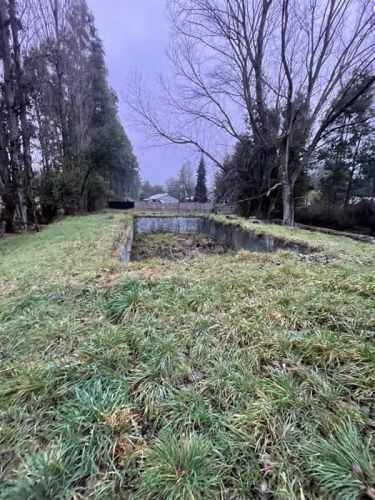 PARCELA 8 min del Salto del laja es decir entre el Salto y la ciudad de Los ángeles muy cercano al complejo turístico de la caja Los Andes las mellizas
