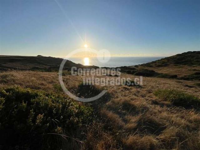 SITIO Pichilemu / Fundo Tanumé